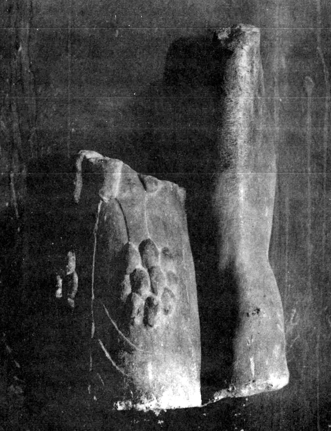 scultura, maschile (arto inferiore) (metà sec. I d. C)