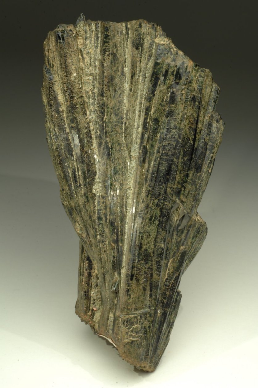 HEDENBERGITE (esemplare)