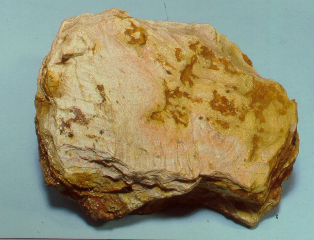 PARAGONITE (esemplare)