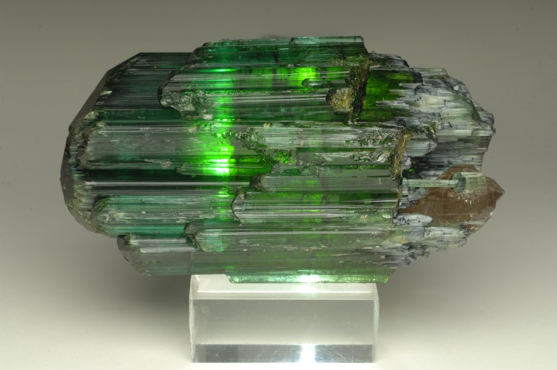 TORMALINA (esemplare)