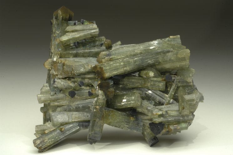 TORMALINA (esemplare)