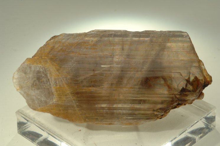 DIASPORO (esemplare)