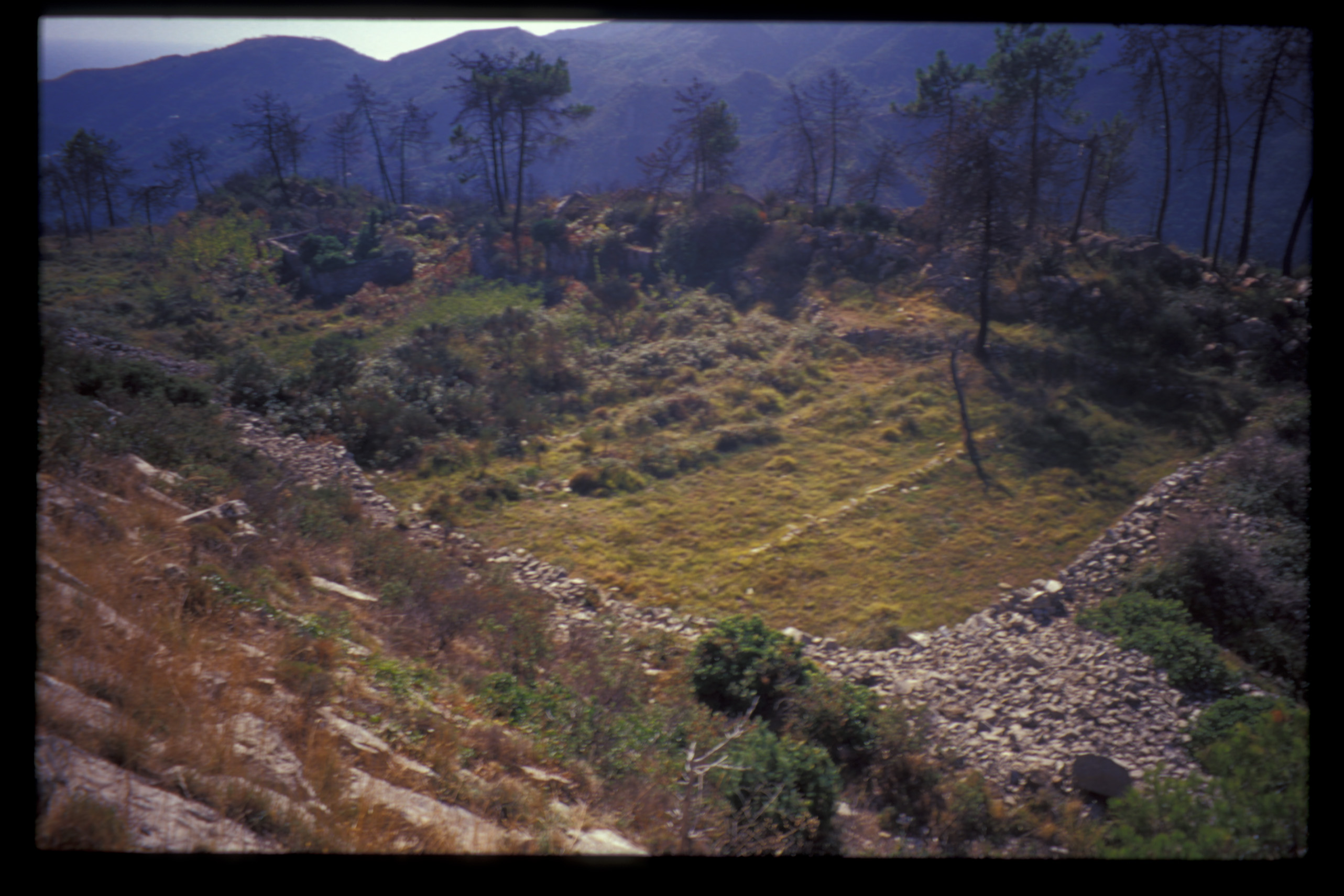 Monte Pozzo (insediamento, tracce di insediamento) - Ventimiglia (IM)  (Eta' romana)