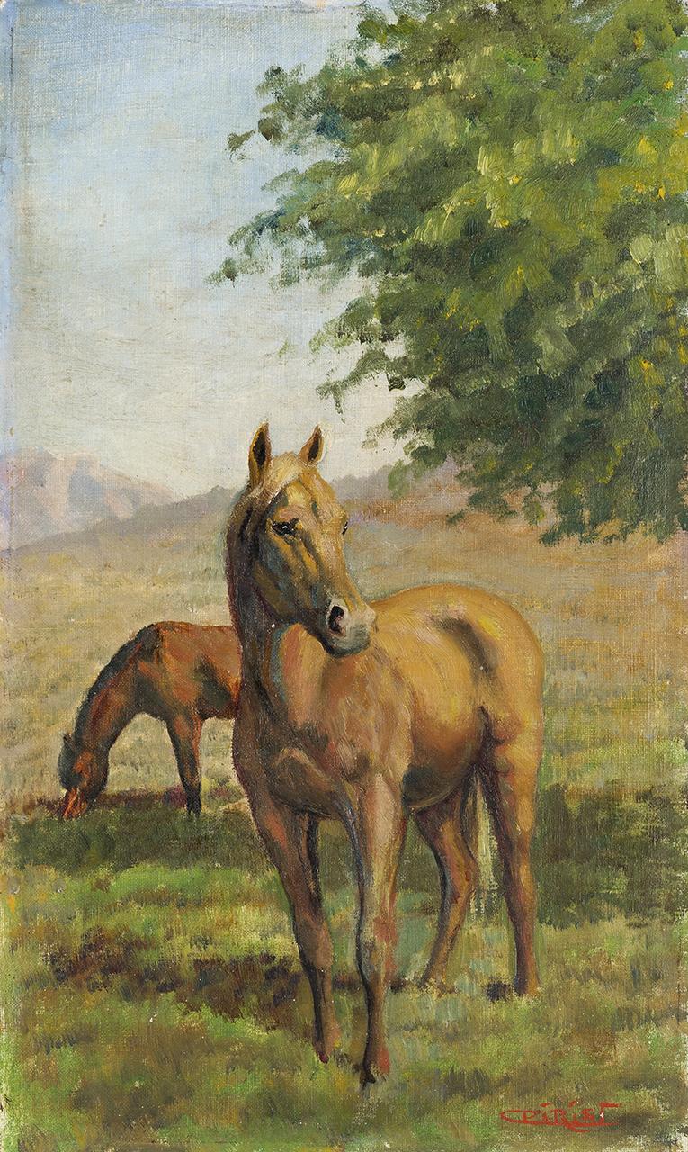 Cavalli, cavalli (dipinto) di Pirisi Cesare - ambito italiano (seconda metà sec. XX)