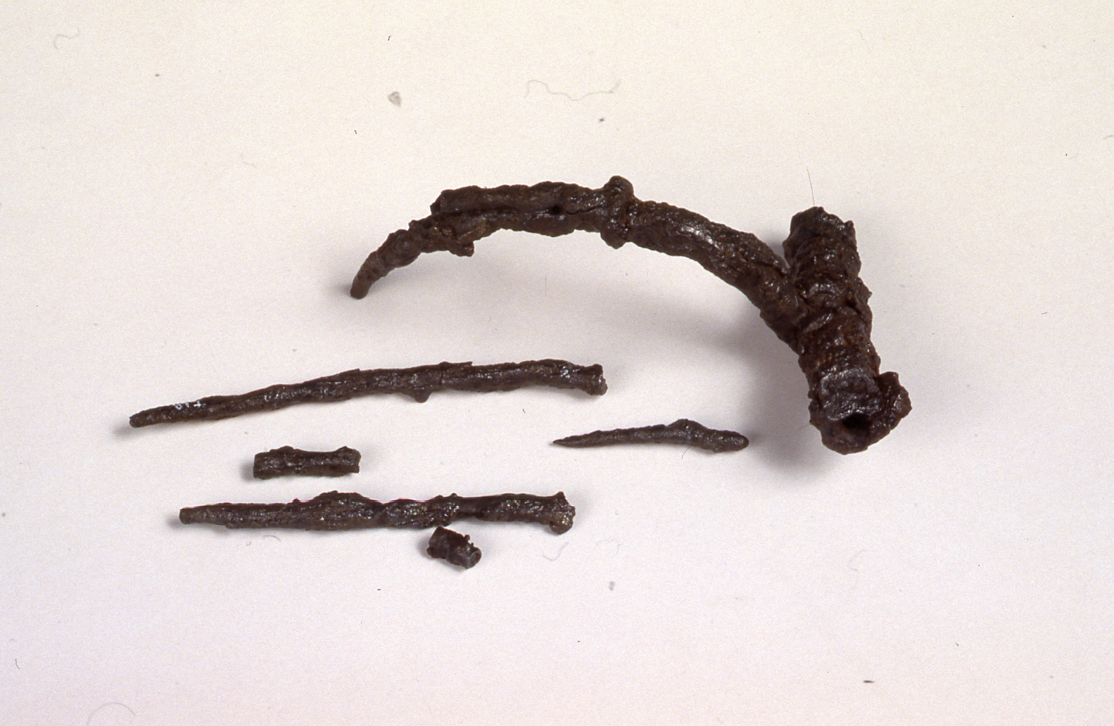 Fibula a schema Medio La Tène/frammenti, Feugère 1 - cultura di La Tène C/D (terzo quarto Sec. II a.C)
