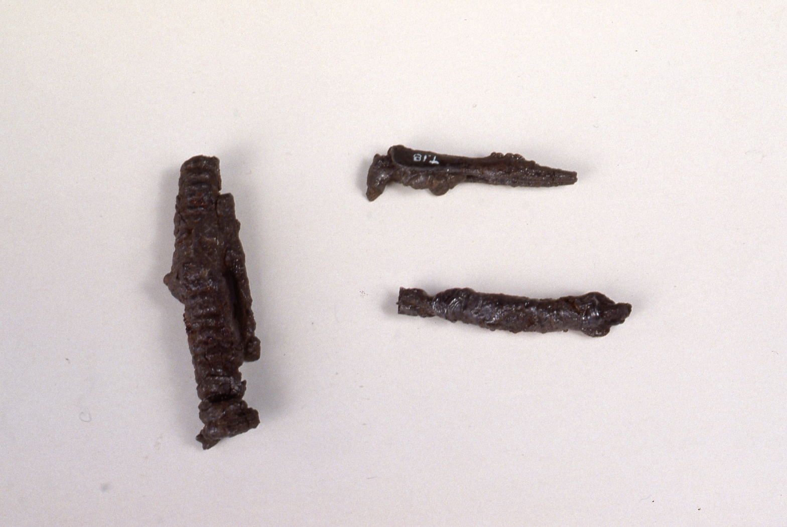 Fibula a schema Medio La Tène/frammenti, Feugère 1 - cultura di La Tène C/D (seconda metà Sec. II a.C)