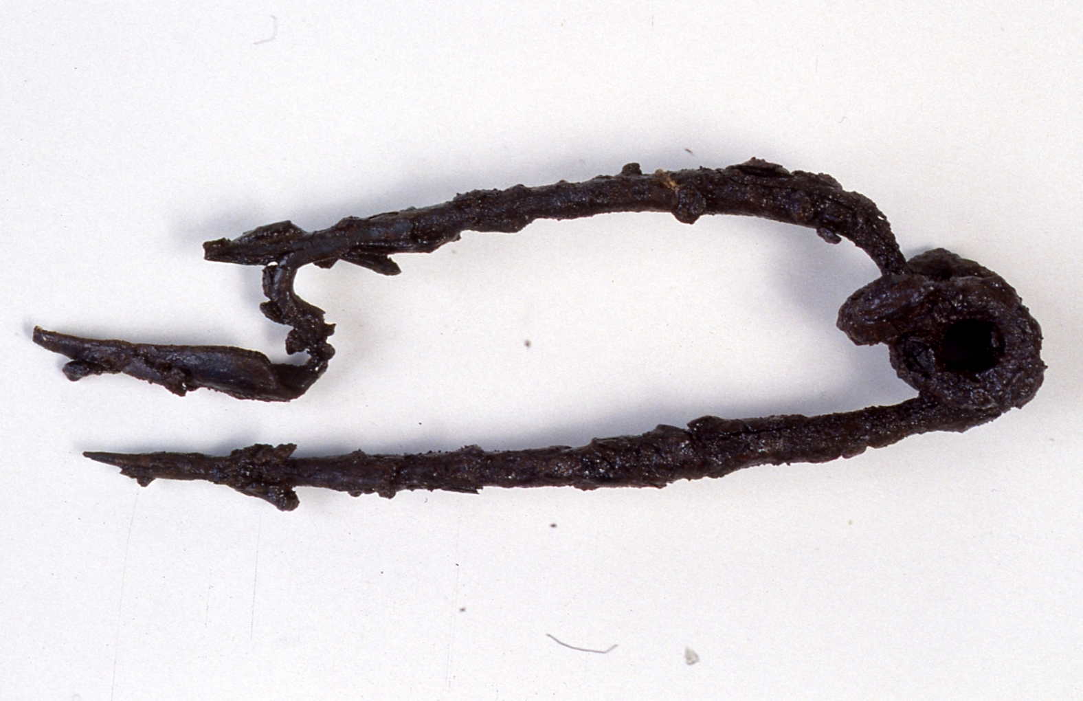 Fibula, Feugère 2 - cultura di La Tène D1 (prima metà Sec. I a.C)