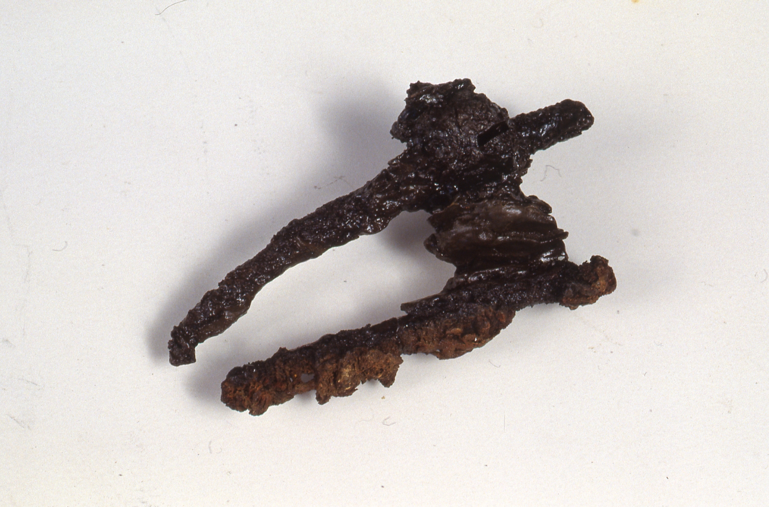 Fibula, Feugère 1 - cultura di La Tène C1 (fine/inizio Sec. III/II a.C)