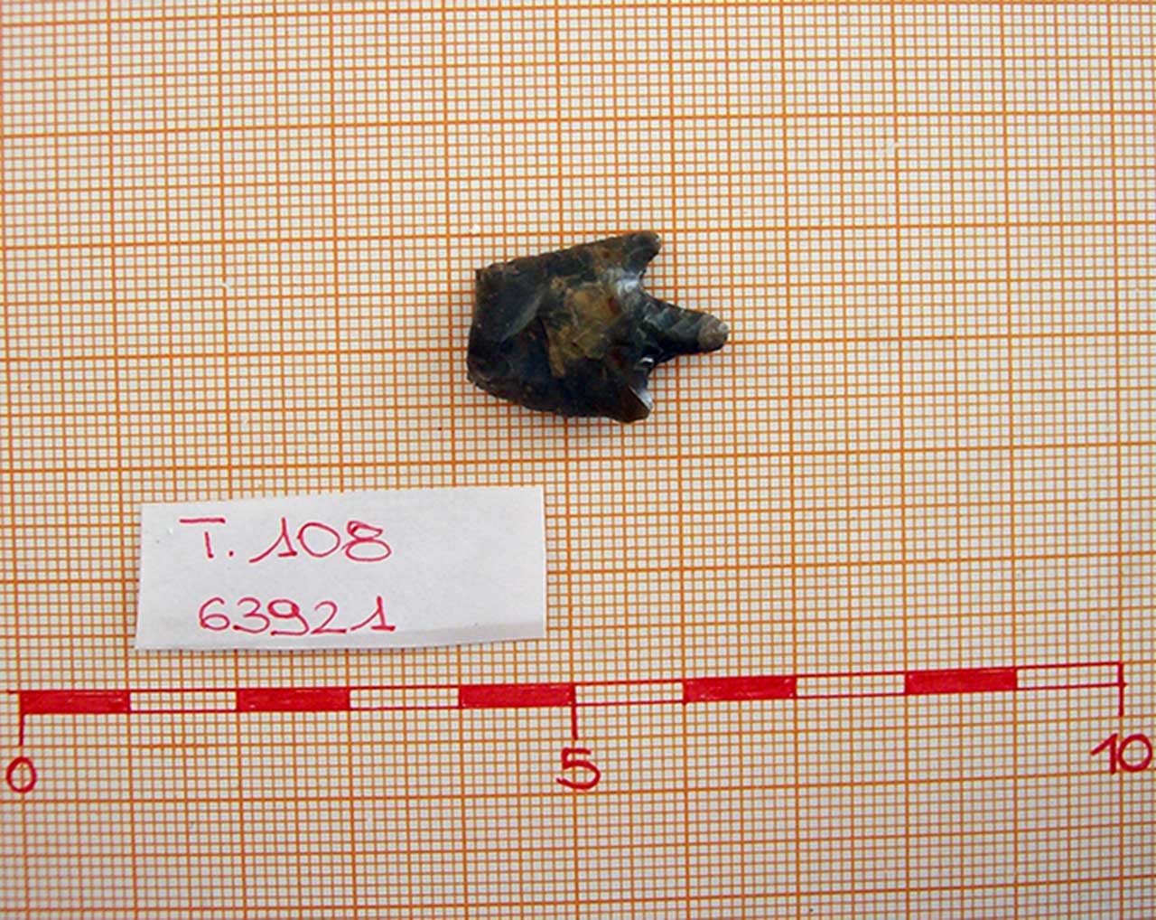 selce, punta di freccia, T.108/V (inizio Alto Medioevo)