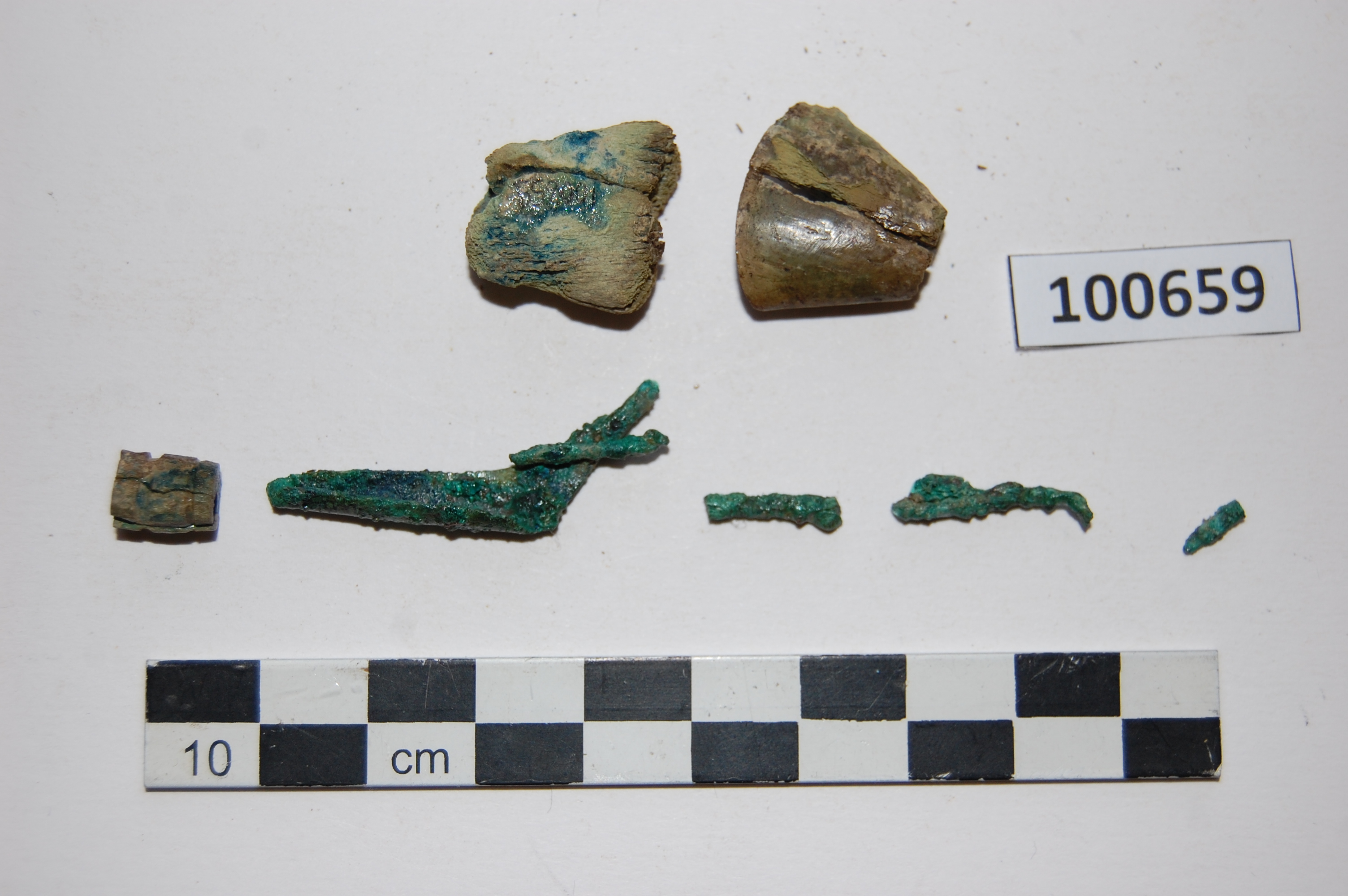 Fibula/frammenti, ad arco rivestito (sec. VI a.C)