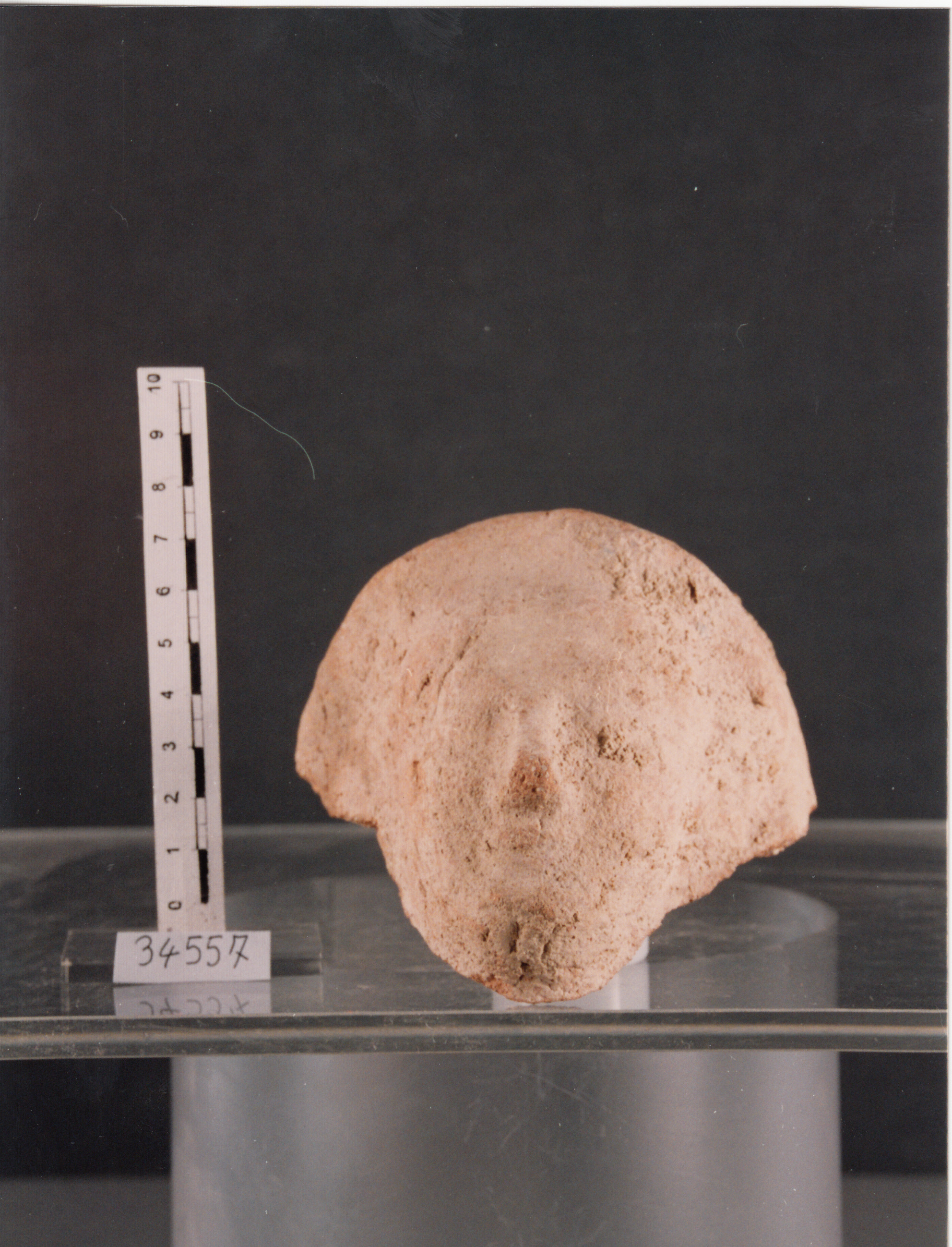 testa femminile (placchetta) - civiltà punica (IV/III a.C)