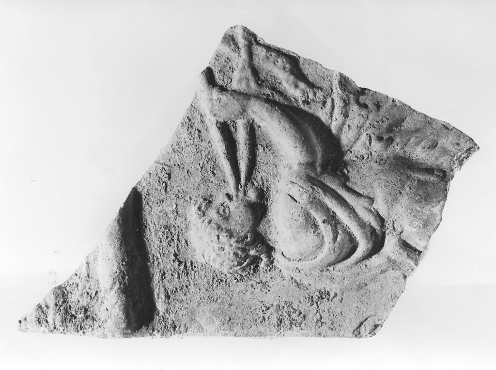 lastra Campana (età augustea)