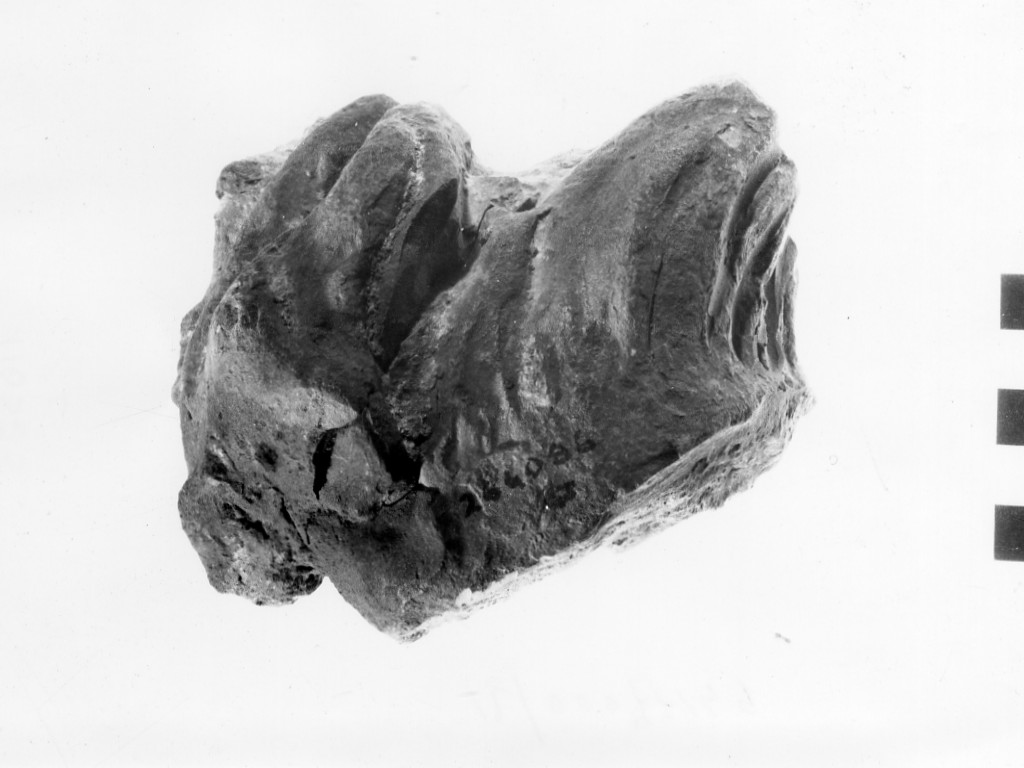 gocciolatoio (sec. I d.C)