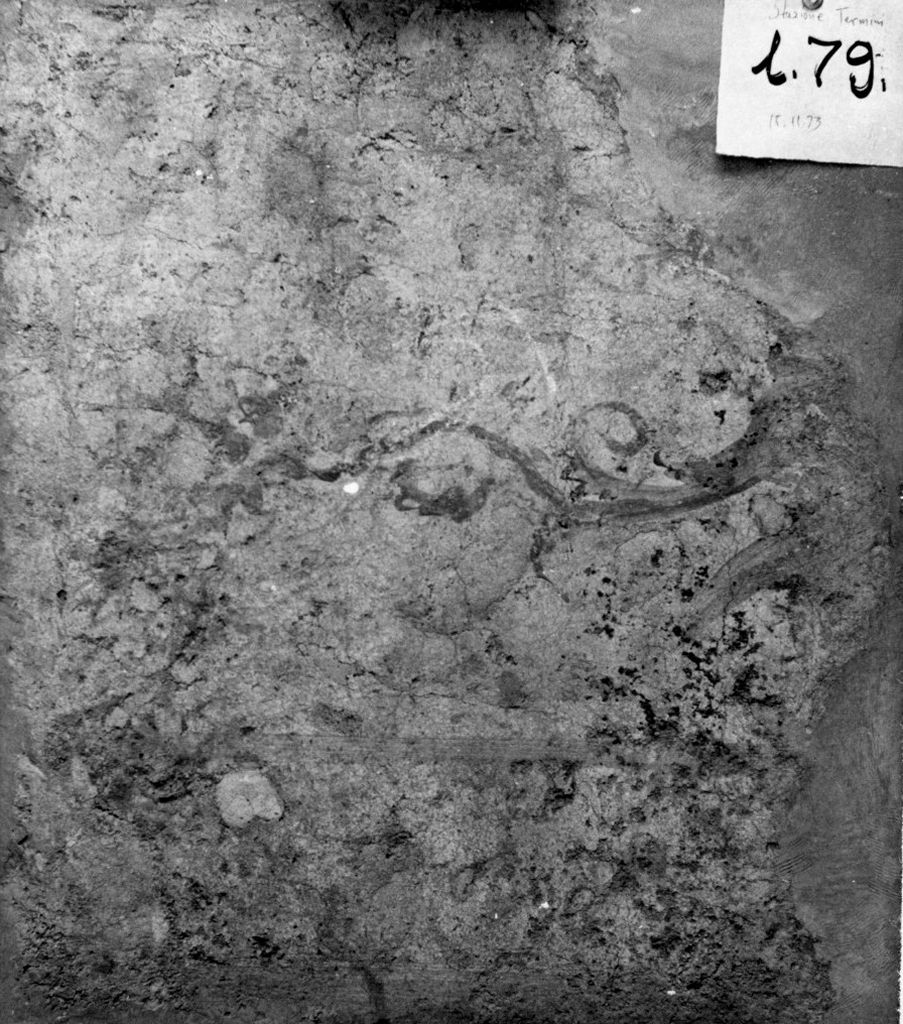 rivestimento parietale (prima età severiana)