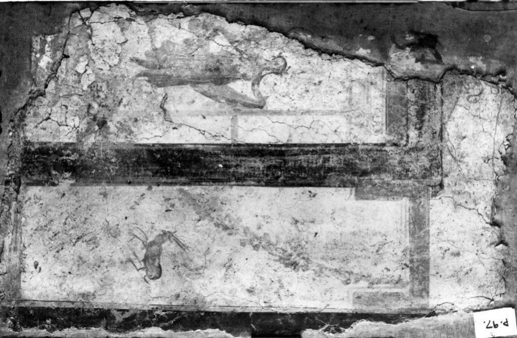 rivestimento parietale (prima età severiana)