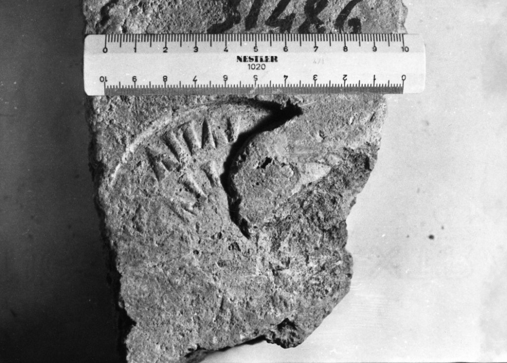 laterizio con bollo - (Officina) de Via Salaria (età adrianea)