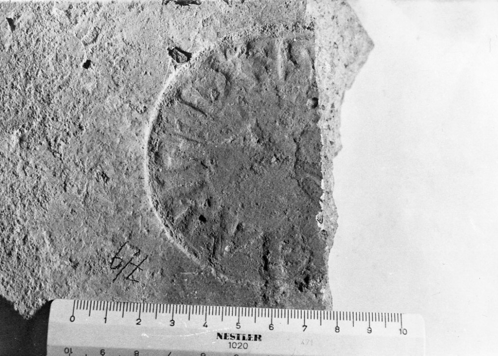 laterizio con bollo (fine sec. I d.C)