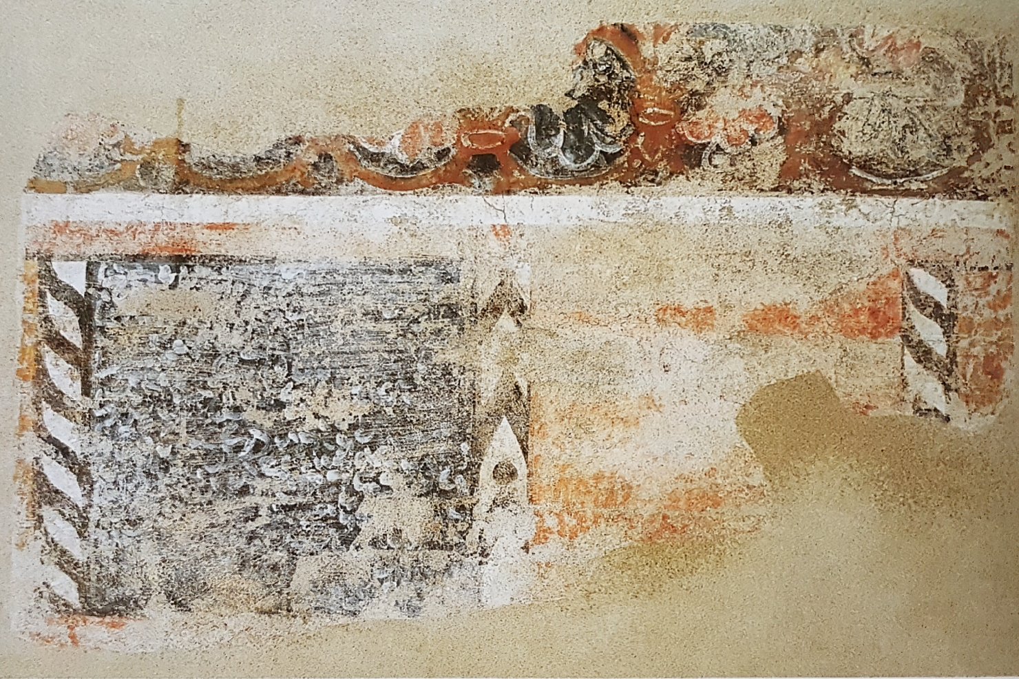 motivi decorativi a girali vegetali (dipinto, frammento) - ambito pisano (sec. XIII)