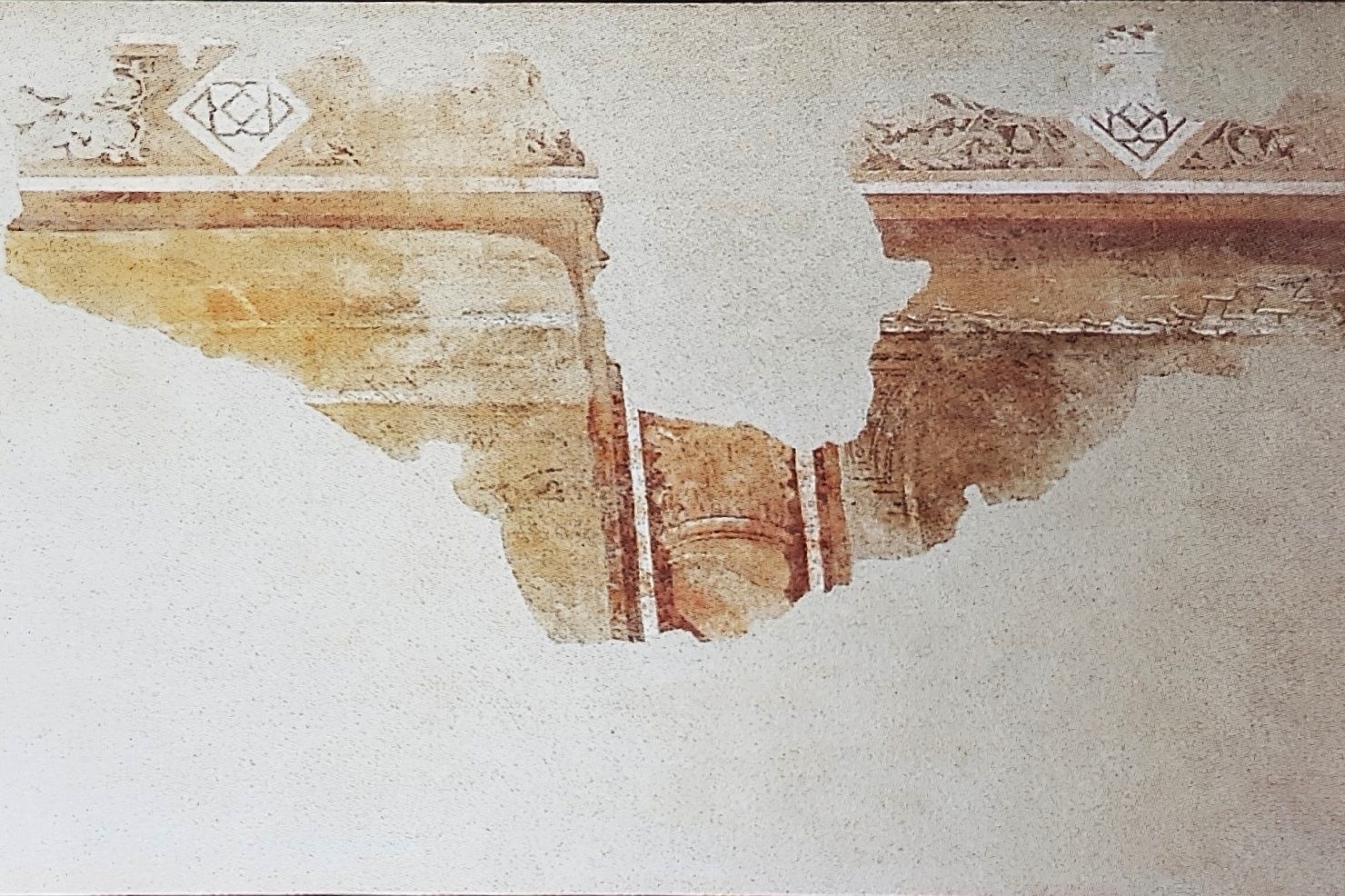 motivi decorativi (dipinto, frammento) di Gaddi Taddeo (cerchia) (metà sec. XIV)