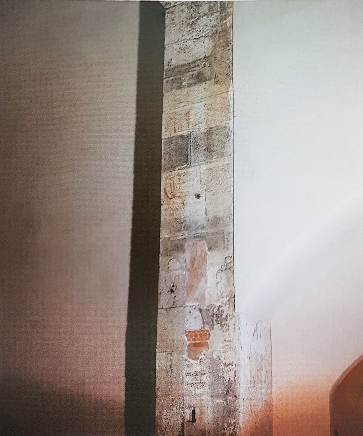 motivi decorativi (dipinto, opera isolata) - ambito pisano (sec. XIV)