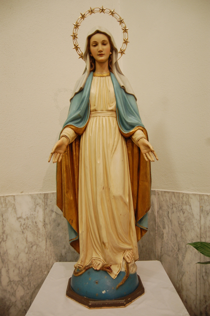 Vergine Immacolata, Maria Vergine (scultura - scultura lignea policroma) - manifattura italiana (metà sec. XX)