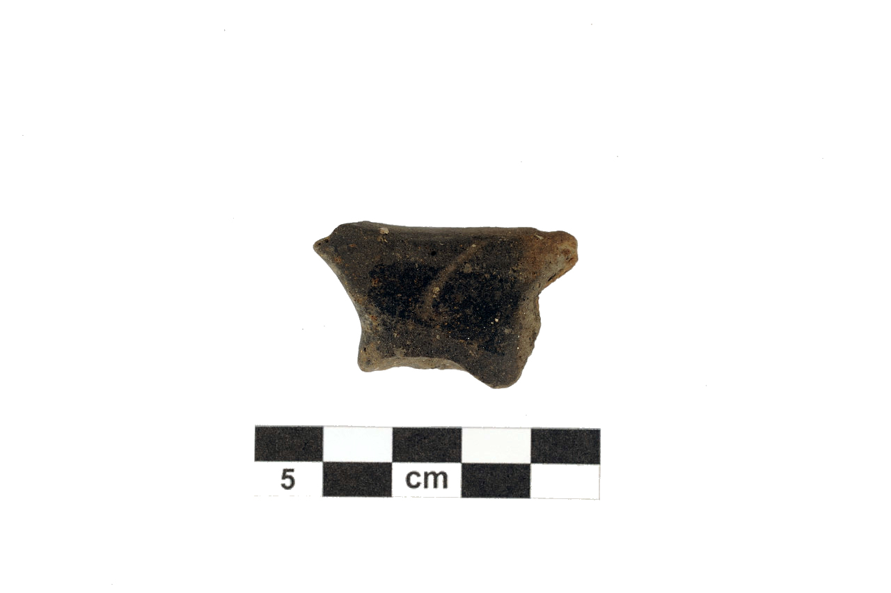 recipiente/ ansa (Età del Bronzo antico)