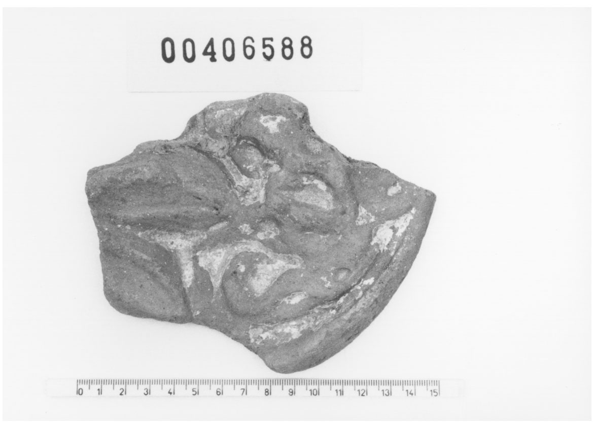 Tavoletta poliviscerale (Votivo anatomico, Fregellae, tipo F III) (III a.C, II a.C)