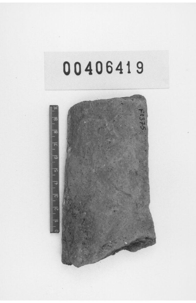 Braccio (Votivo anatomico) (III a.C, II a.C)