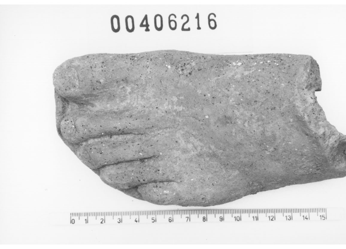 Piede sinistro (Votivo anatomico/ frammento, Fregellae, tipo NS I) (III a.C, II a.C)
