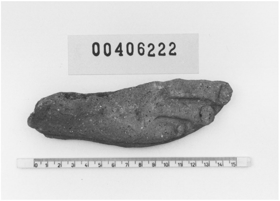 Piede destro (Votivo anatomico, Fregellae, tipo ND II) (III a.C, II a.C)