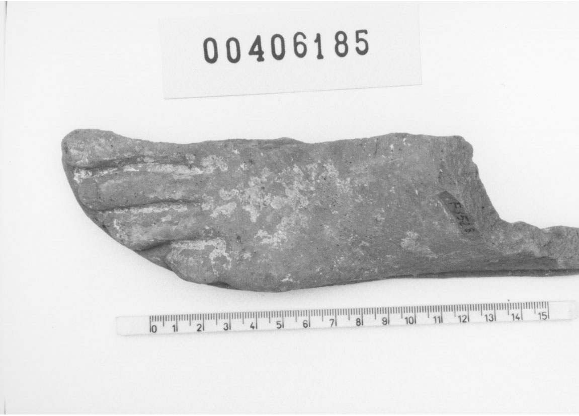 Piede sinistro (Votivo anatomico/ frammento, Fregellae, tipo NS II) (III a.C, II a.C)