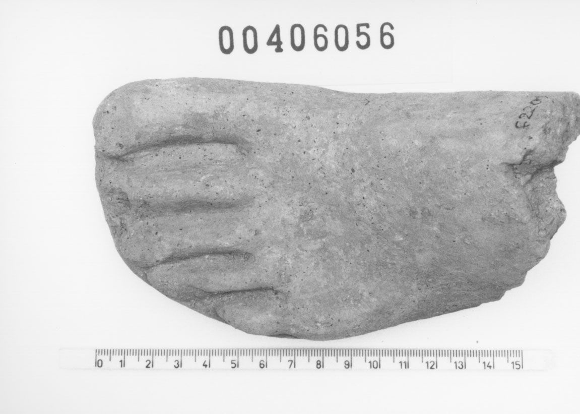 Piede sinistro (Votivo anatomico/ frammento, Fregellae, tipo NS II) (III a.C, II a.C)