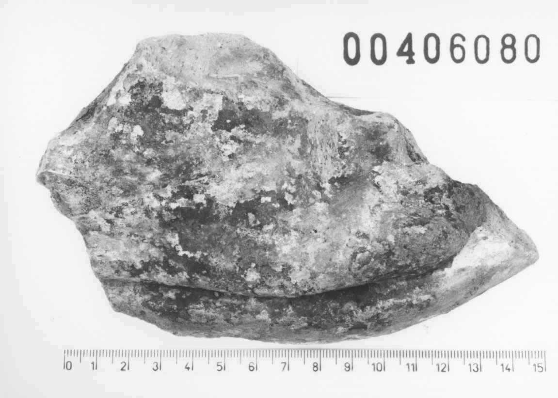 Piede destro (Votivo anatomico/ frammento, Fregellae, tipo ND I) (III a.C, II a.C)