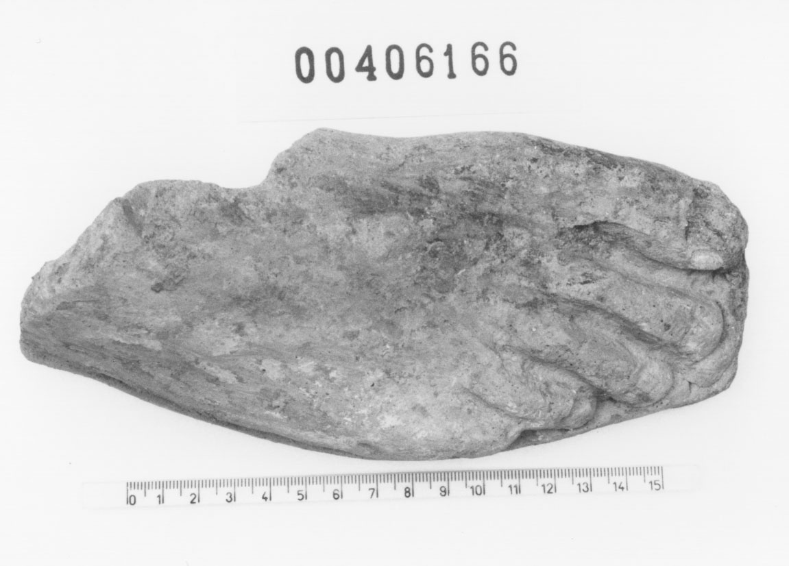 Piede destro (Votivo anatomico/ frammento, Fregellae, tipo ND I) (III a.C, II a.C)
