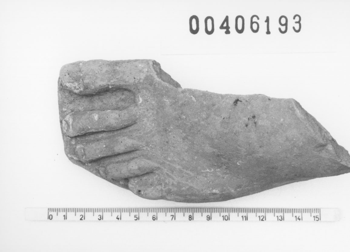Piede sinistro (Votivo anatomico/ frammento, Fregellae, tipo NS IV) (III a.C, II a.C)