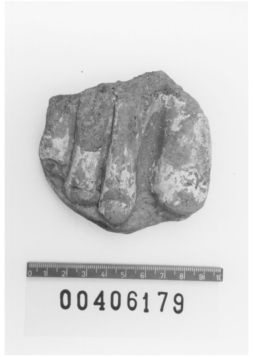 Piede destro (Votivo anatomico/ frammento, Fregellae, tipo ND I) (III a.C, II a.C)