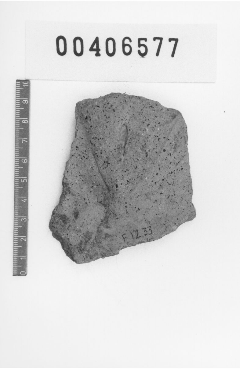 Gamba con sesso (Votivo anatomico, Fregellae, tipo M I) (III a.C, II a.C)