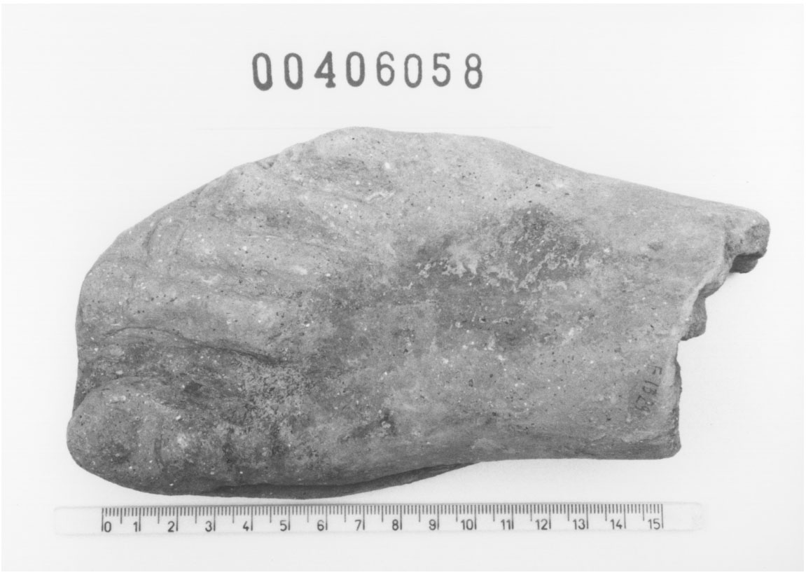 Piede destro (Votivo anatomico/ frammento, Fregellae, tipo ND I) (III a.C, II a.C)