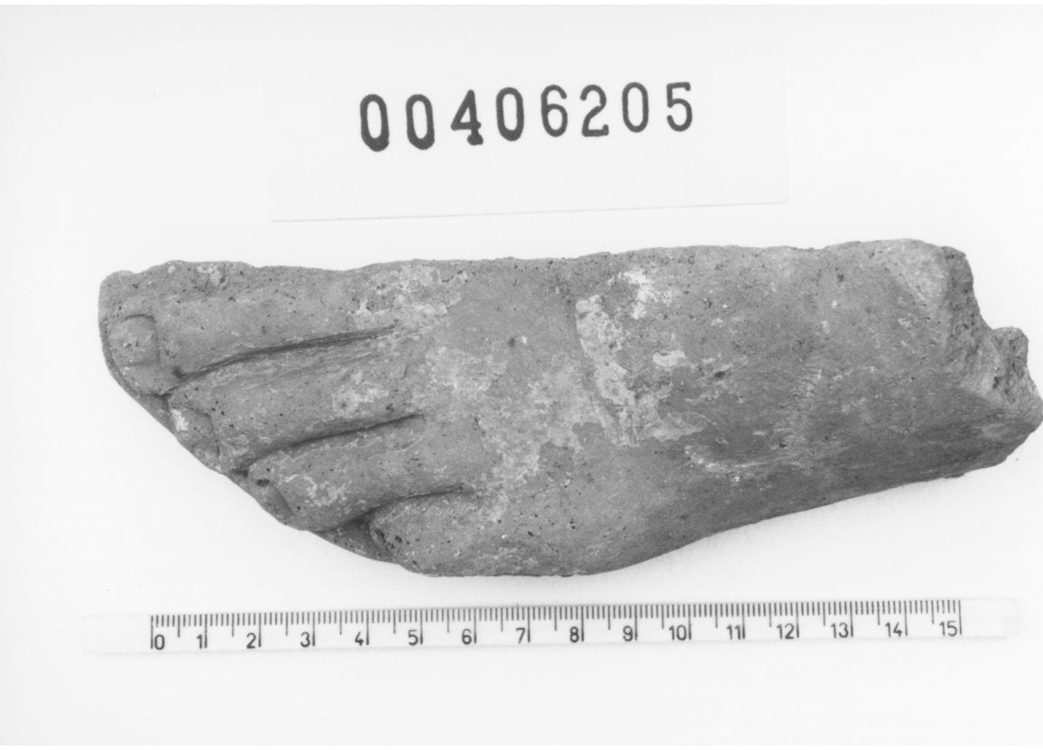 Piede sinistro (Votivo anatomico/ frammento, Fregellae, tipo NS II) (III a.C, II a.C)