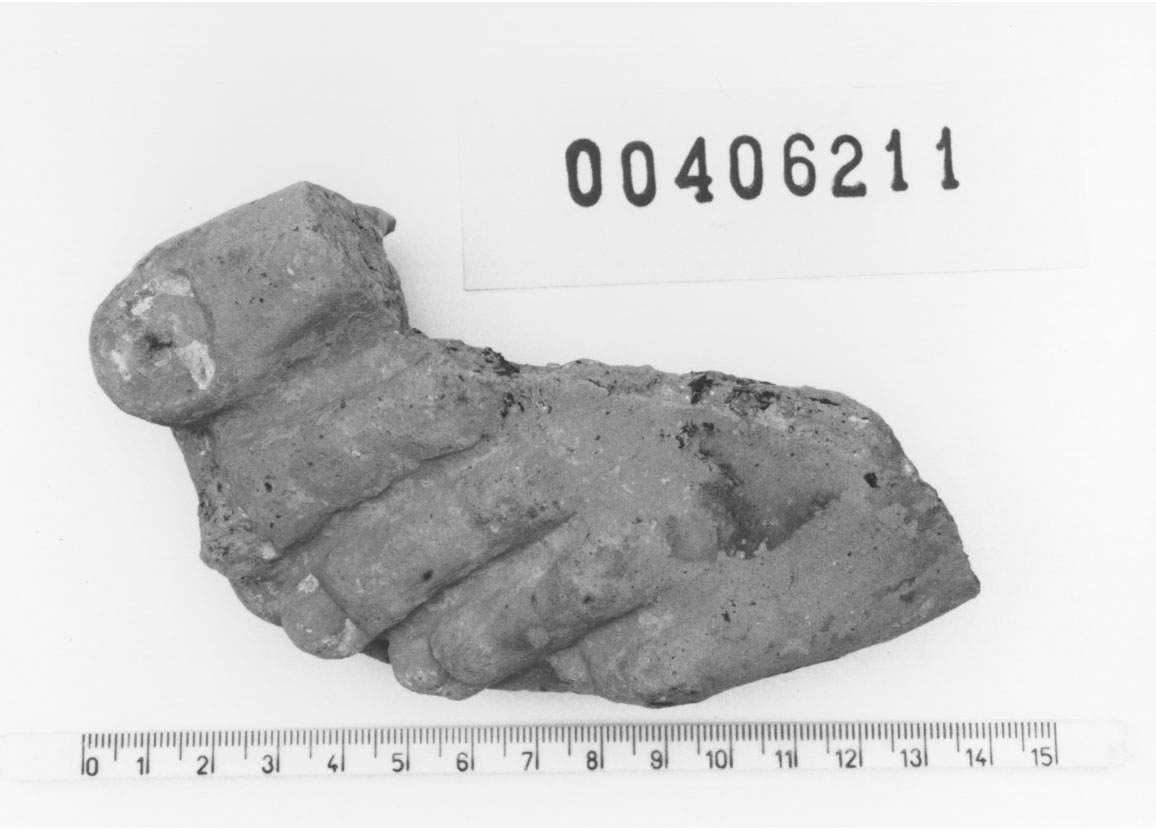 Piede sinistro (Votivo anatomico/ frammento, Fregellae, tipo NS II) (III a.C, II a.C)