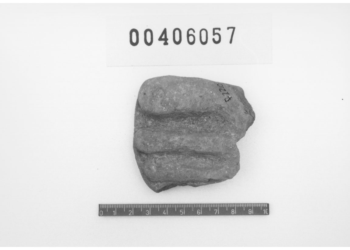 Piede sinistro (Votivo anatomico/ frammento, Fregellae, tipo NS II) (III a.C, II a.C)