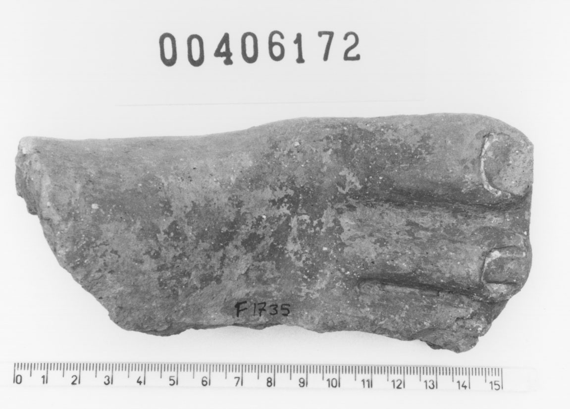 Piede destro (Votivo anatomico/ frammento, Fregellae, tipo ND II) (III a.C, II a.C)