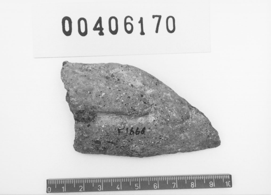 Piede destro (Votivo anatomico/ frammento) (III a.C, II a.C)