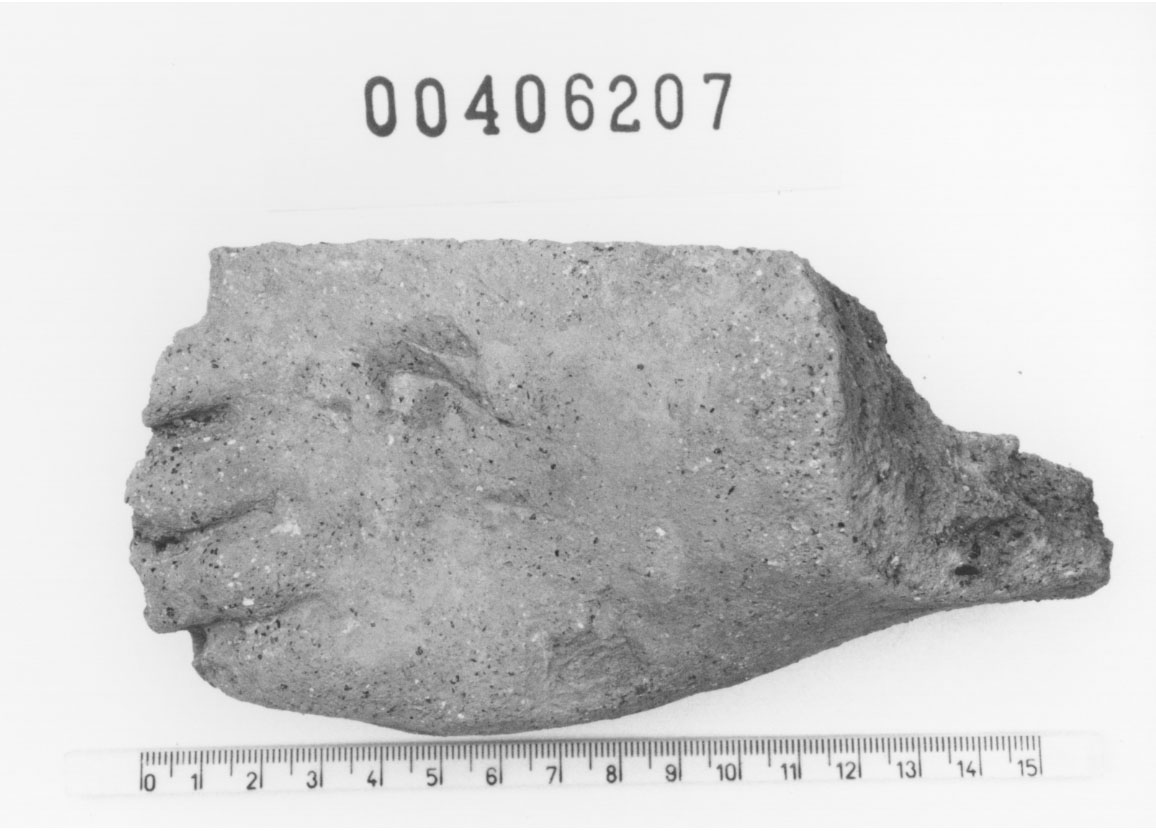 Piede sinistro (Votivo anatomico/ frammento, Fregellae, tipo NS I) (III a.C, II a.C)