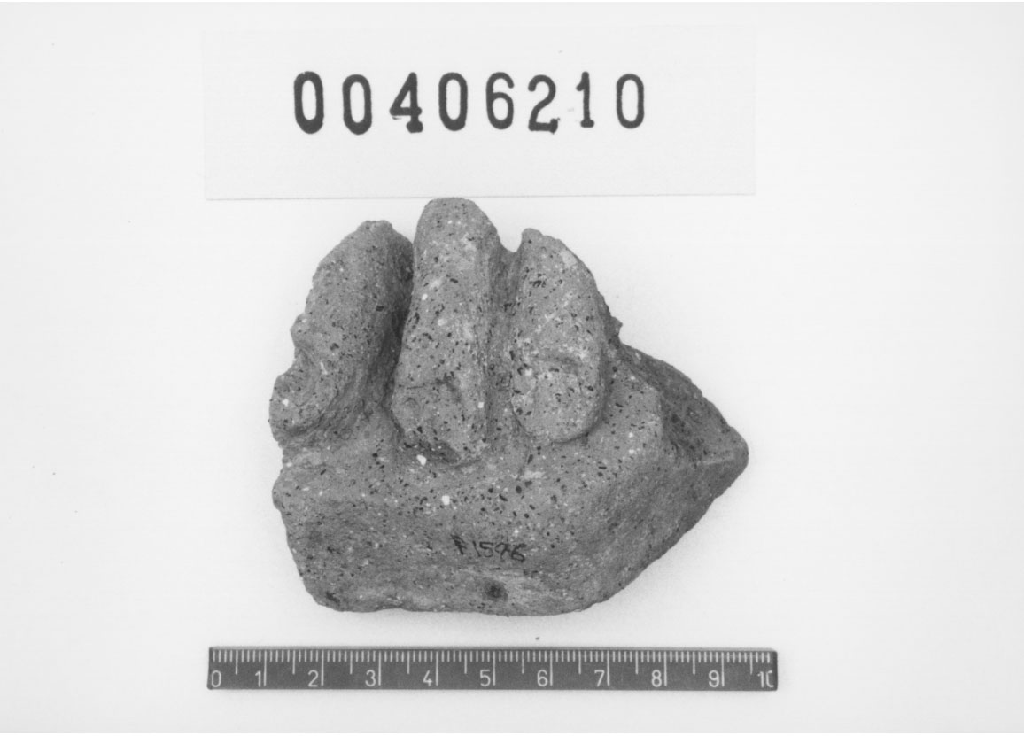 Piede sinistro (Votivo anatomico/ frammento, Fregellae, tipo NS I) (III a.C, II a.C)