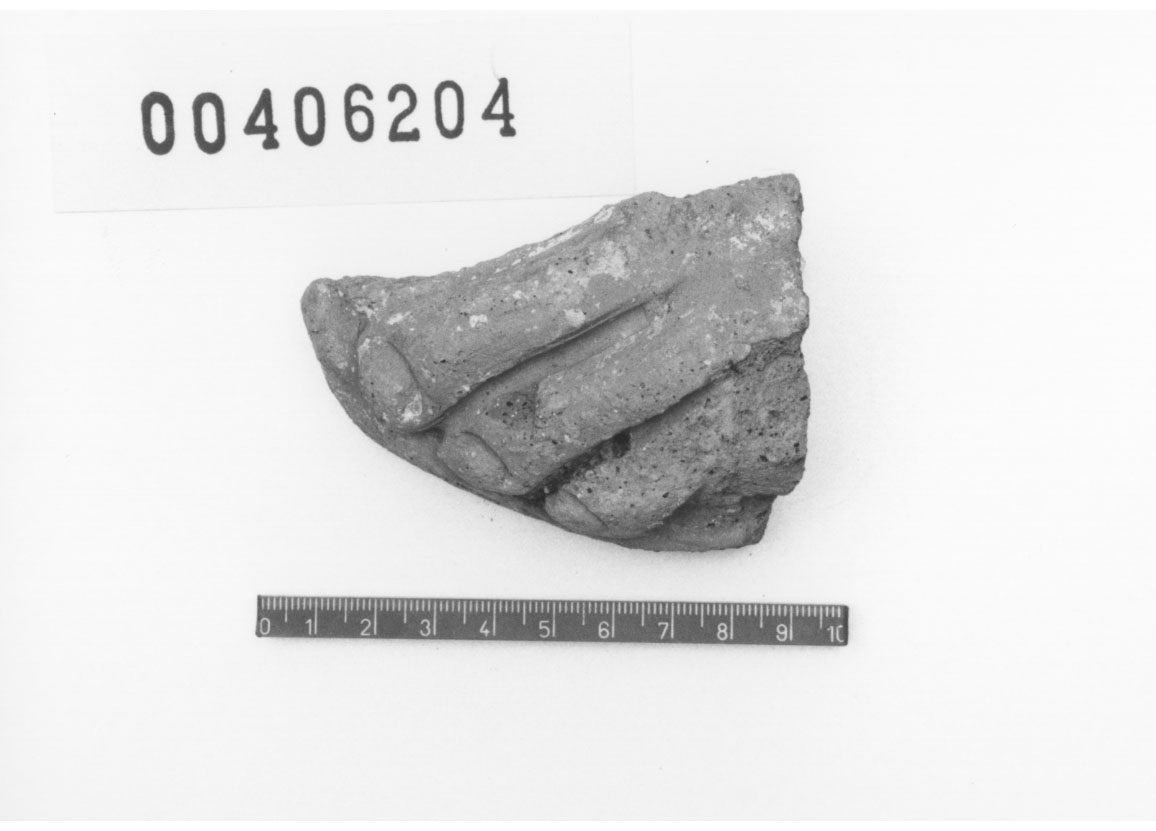 Piede sinistro (Votivo anatomico/ frammento, Fregellae, tipo NS I) (III a.C, II a.C)