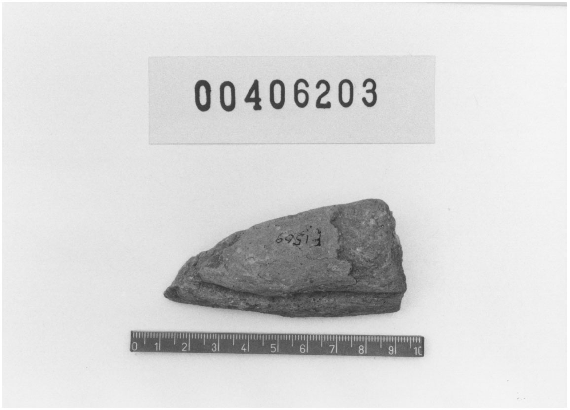 Piede sinistro (Votivo anatomico/ frammento) (III a.C, II a.C)