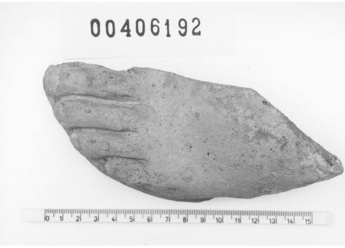 Piede sinistro (Votivo anatomico/ frammento, Fregellae, tipo NS II) (III a.C, II a.C)