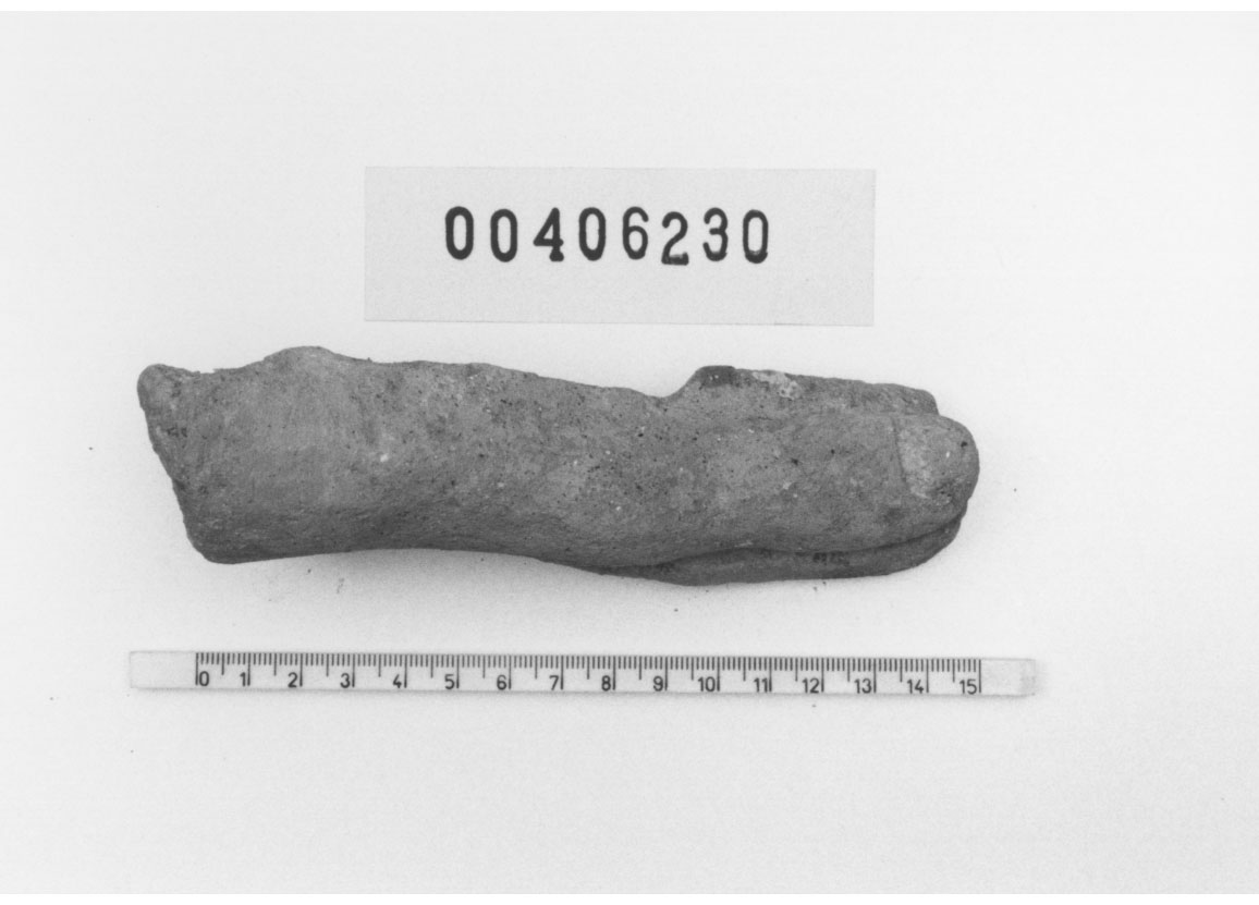 Piede sinistro (Votivo anatomico, Fregellae, tipo NS II) (III a.C, II a.C)