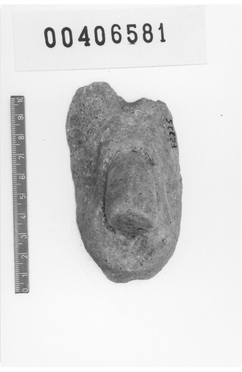 Organo genitale maschile (Votivo anatomico, Fregellae, tipo H V) (III a.C, II a.C)